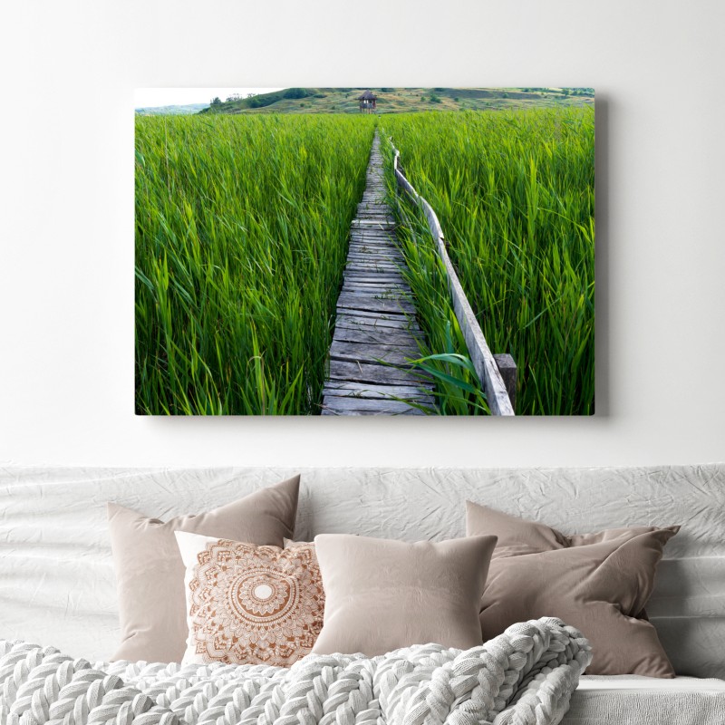 Obraz na płótnie spokojny zielony pomost przez trzcinowisko do rustykalnej chaty – Wallissimo® Obraz na płótnie spokojny zielony pomost przez trzcinowisko do rustykalnej chaty – Wallissimo®