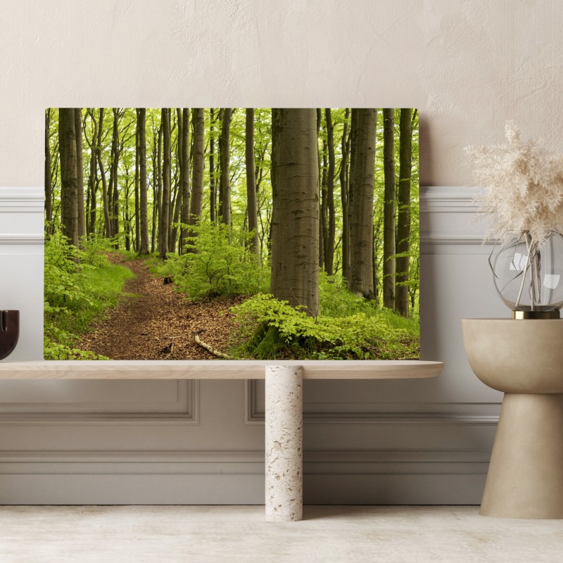 Obraz na płótnie spokojna zielona ścieżka leśna – Wallissimo® Obraz na płótnie spokojna zielona ścieżka leśna – Wallissimo®