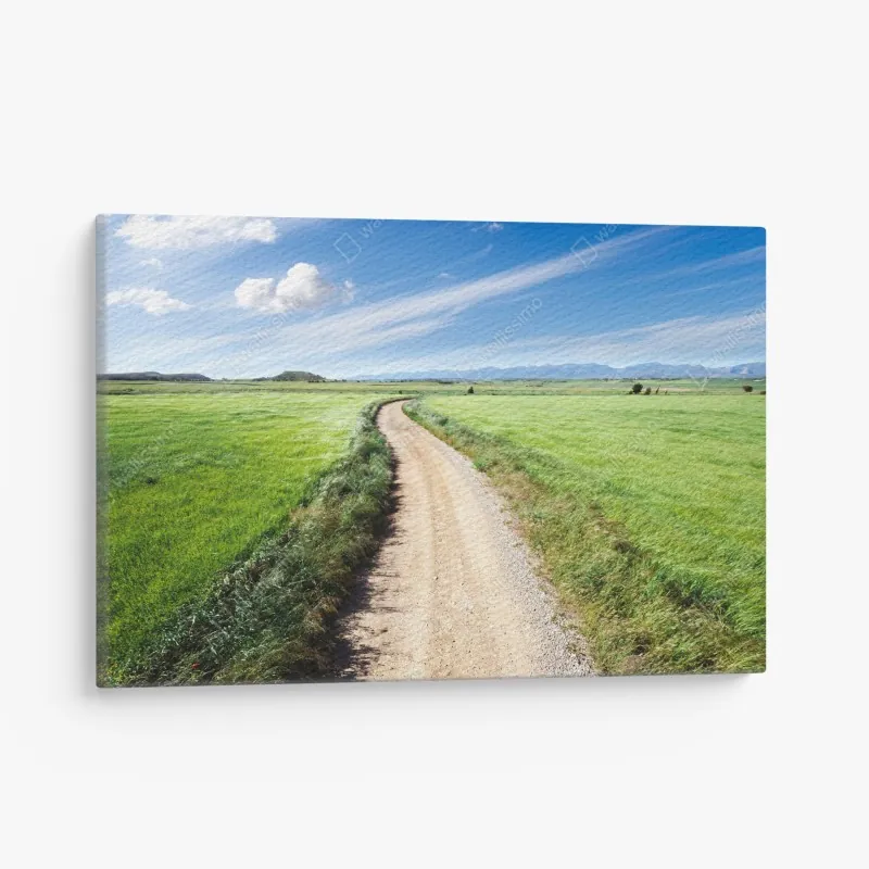 Obraz na płótnie wijąca się wiejska droga przez zielone łąki