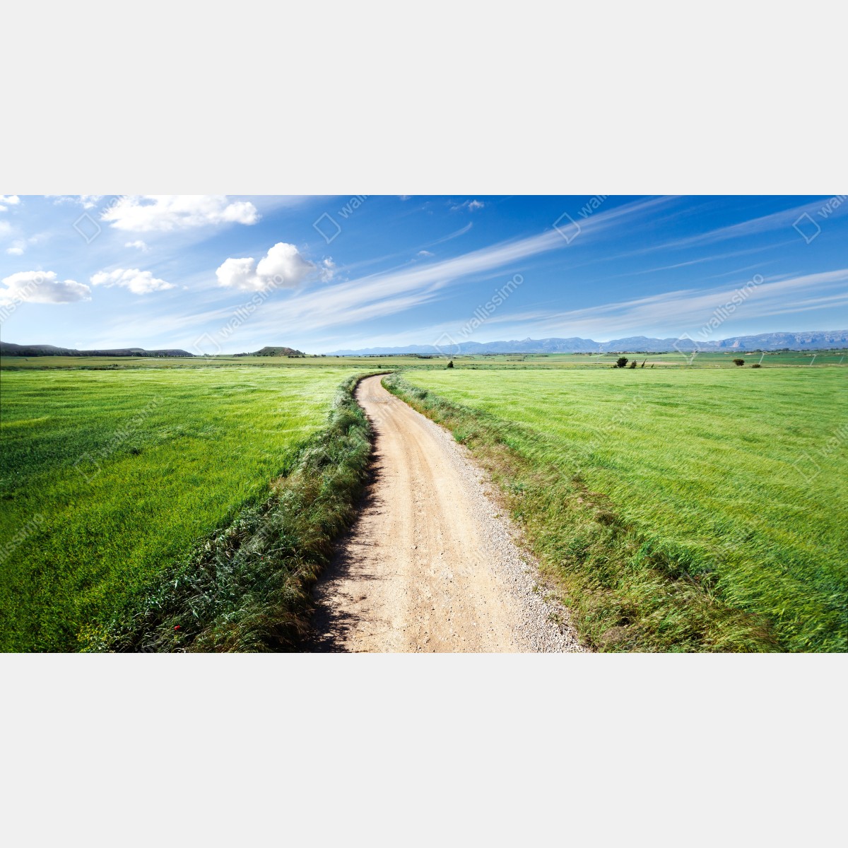 Obraz na płótnie wijąca się wiejska droga przez zielone łąki – Wallissimo® Obraz na płótnie wijąca się wiejska droga przez zielone łąki – Wallissimo®