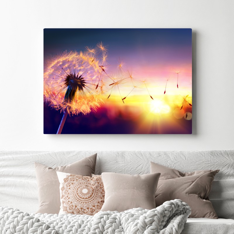 Obraz na płótnie złoty mniszek przy zachodzie słońca – Wallissimo® Obraz na płótnie złoty mniszek przy zachodzie słońca – Wallissimo®