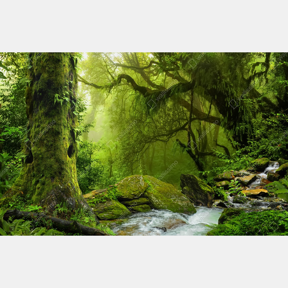 Obraz na płótnie zaczarowany zielony leśny strumień – Wallissimo® Obraz na płótnie zaczarowany zielony leśny strumień – Wallissimo®