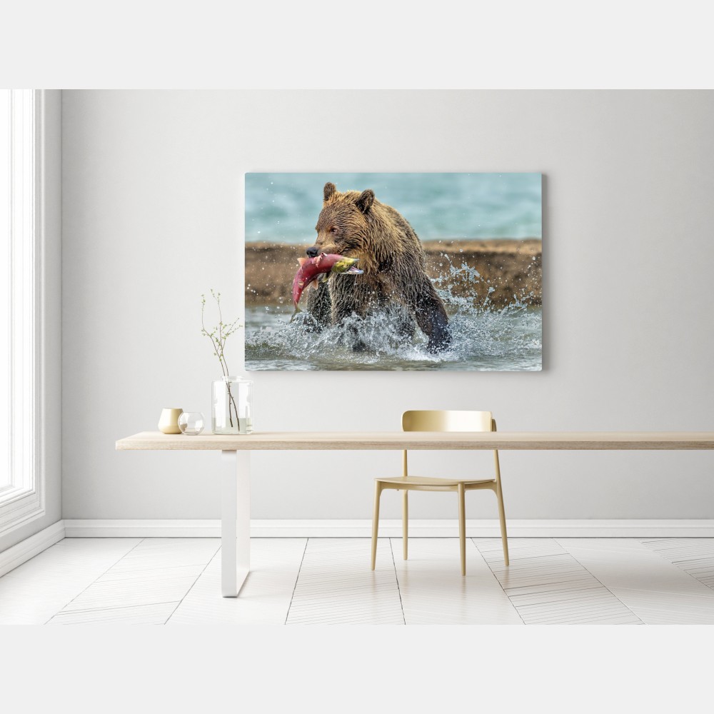 Obraz na płótnie niedźwiedź łapiący łososia w rzece – Wallissimo®