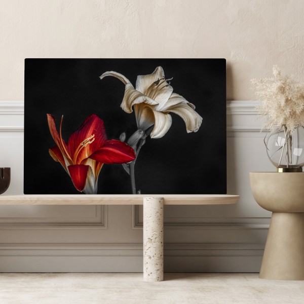 Obraz na płótnie dramatyczne czerwone i kremowe lilie na czarnym tle – Wallissimo® Obraz na płótnie dramatyczne czerwone i kremowe lilie na czarnym tle – Wallissimo®