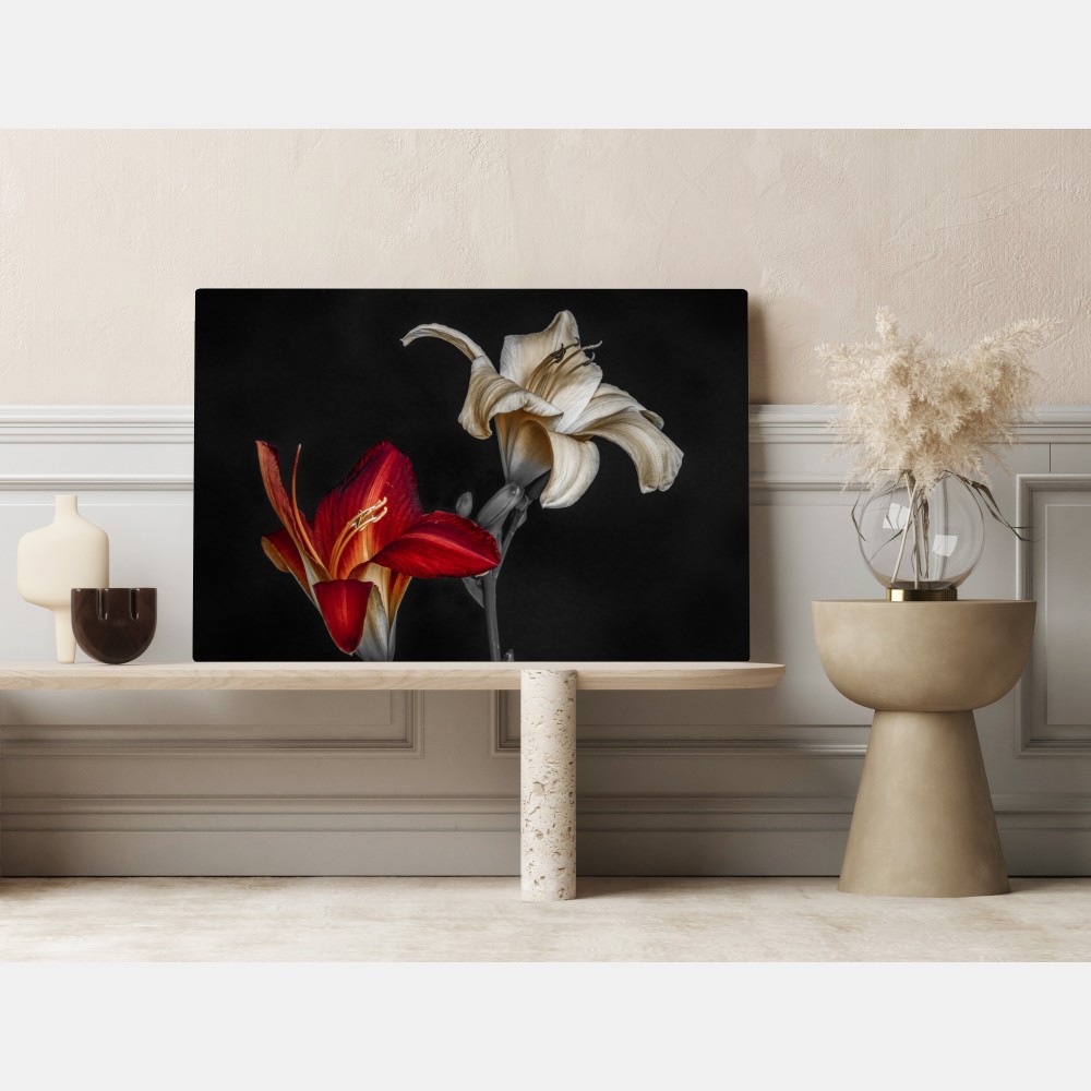 Obraz na płótnie dramatyczne czerwone i kremowe lilie na czarnym tle – Wallissimo® Obraz na płótnie dramatyczne czerwone i kremowe lilie na czarnym tle – Wallissimo®