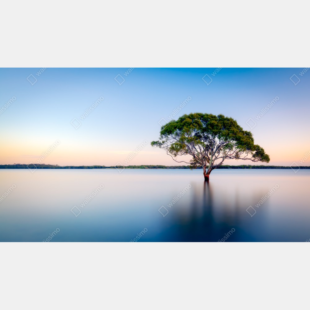 Obraz na płótnie samotne drzewo nad spokojnym jeziorem – Wallissimo® Obraz na płótnie samotne drzewo nad spokojnym jeziorem – Wallissimo®