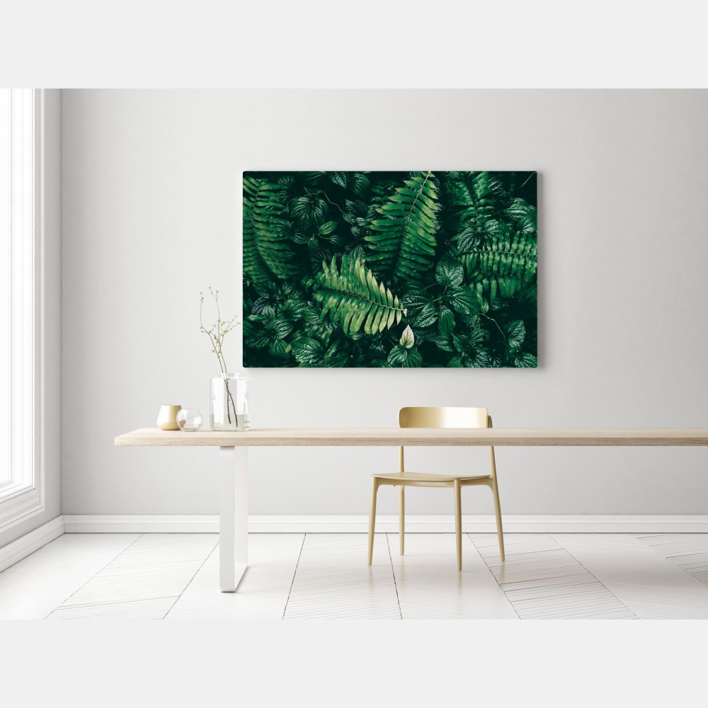 Obraz na płótnie bujne tropikalne liście – Wallissimo® Obraz na płótnie bujne tropikalne liście – Wallissimo®