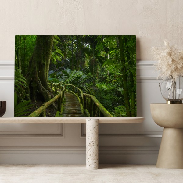 Obraz na płótnie spokojna kładka w dżungli przez bujny las deszczowy – Wallissimo® Obraz na płótnie spokojna kładka w dżungli przez bujny las deszczowy – Wallissimo®
