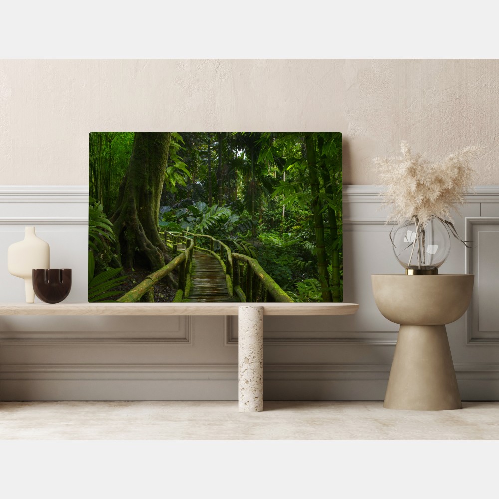 Obraz na płótnie spokojna kładka w dżungli przez bujny las deszczowy – Wallissimo® Obraz na płótnie spokojna kładka w dżungli przez bujny las deszczowy – Wallissimo®