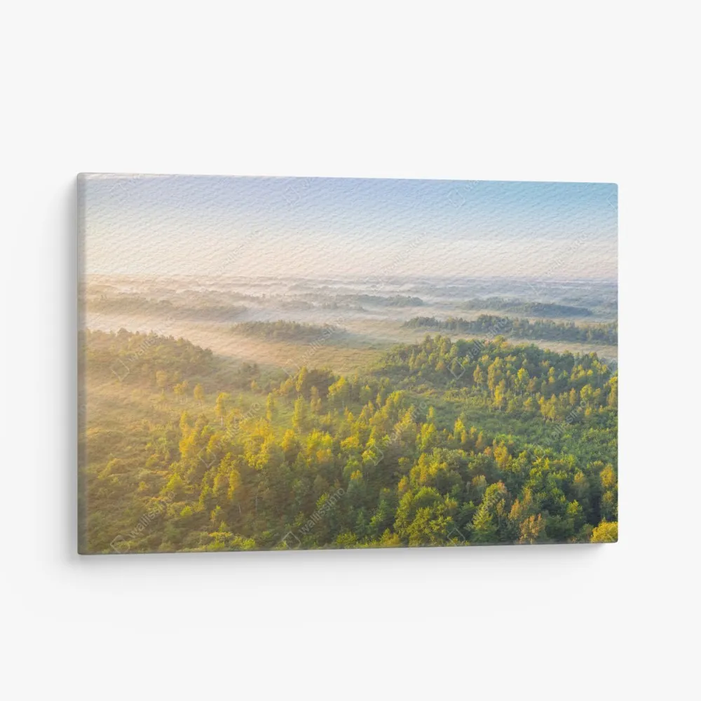 Obraz na płótnie mglista poranna w bagnie Zvanets – Wallissimo® Obraz na płótnie mglista poranna w bagnie Zvanets – Wallissimo®