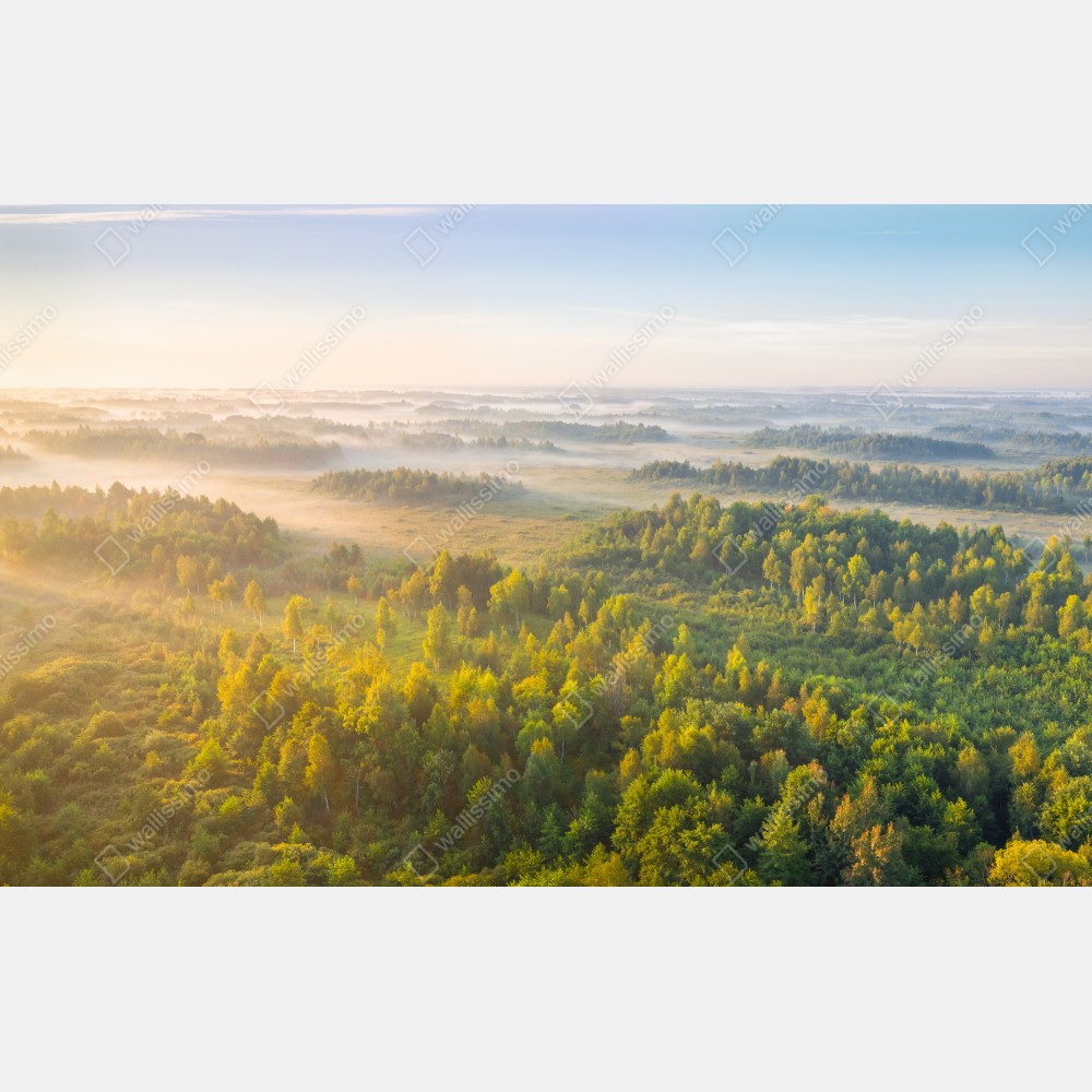 Obraz na płótnie mglista poranna w bagnie Zvanets – Wallissimo® Obraz na płótnie mglista poranna w bagnie Zvanets – Wallissimo®