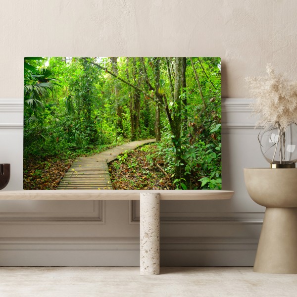 Obraz na płótnie tropikalna kładka w bujnym lesie – Wallissimo® Obraz na płótnie tropikalna kładka w bujnym lesie – Wallissimo®