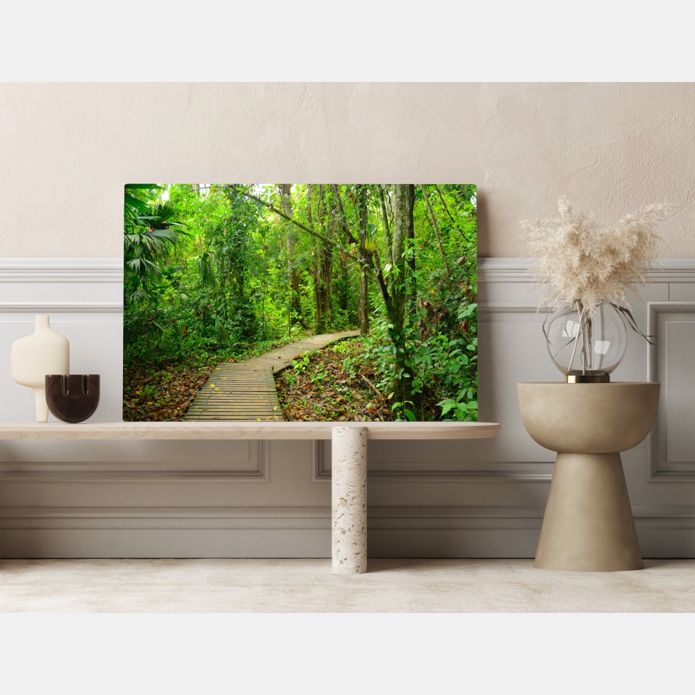 Obraz na płótnie tropikalna kładka w bujnym lesie – Wallissimo® Obraz na płótnie tropikalna kładka w bujnym lesie – Wallissimo®