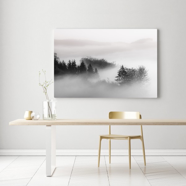Obraz na płótnie mglisty las w odcieniach szarości – Wallissimo® Obraz na płótnie mglisty las w odcieniach szarości – Wallissimo®