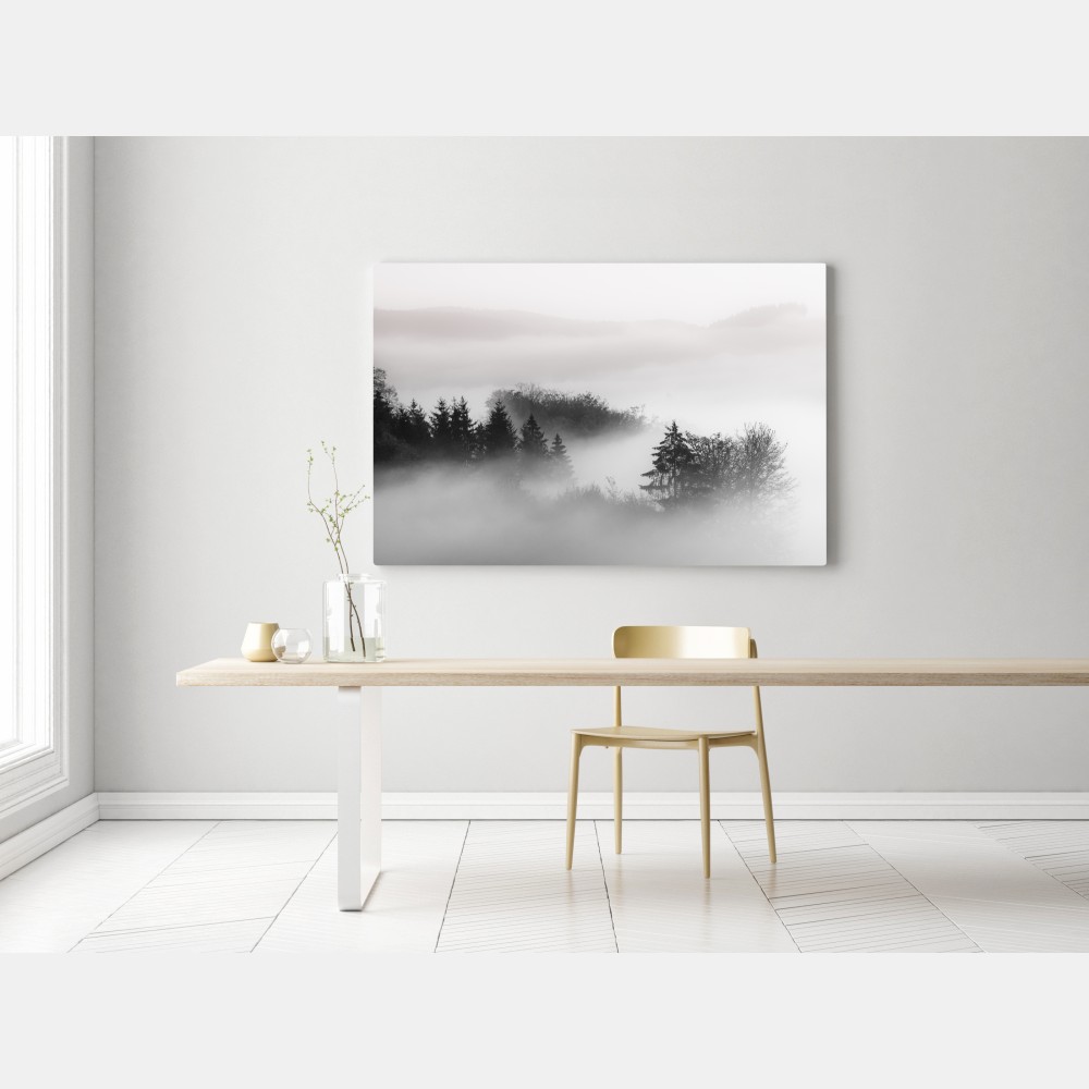 Obraz na płótnie mglisty las w odcieniach szarości – Wallissimo® Obraz na płótnie mglisty las w odcieniach szarości – Wallissimo®