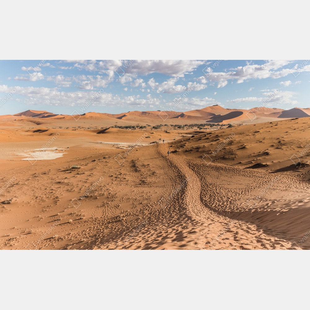 Obraz na płótnie bezgraniczne wydmy pustyni pod błękitnym niebem – Wallissimo® Obraz na płótnie bezgraniczne wydmy pustyni pod błękitnym niebem – Wallissimo®