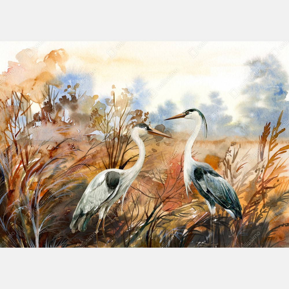 Obraz na płótnie dwie czaple na jesiennym mokradle – Wallissimo® Obraz na płótnie dwie czaple na jesiennym mokradle – Wallissimo®