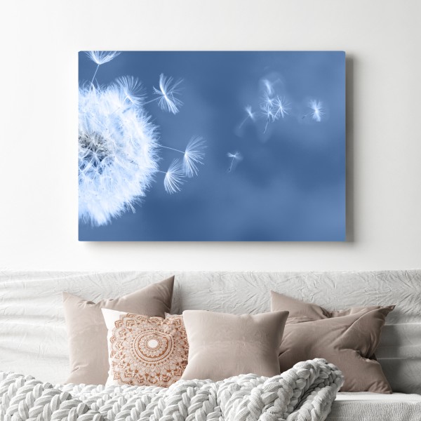 Obraz na płótnie delikatne nasiona dmuchawca w odcieniach niebieskiego – Wallissimo® Obraz na płótnie delikatne nasiona dmuchawca w odcieniach niebieskiego – Wallissimo®