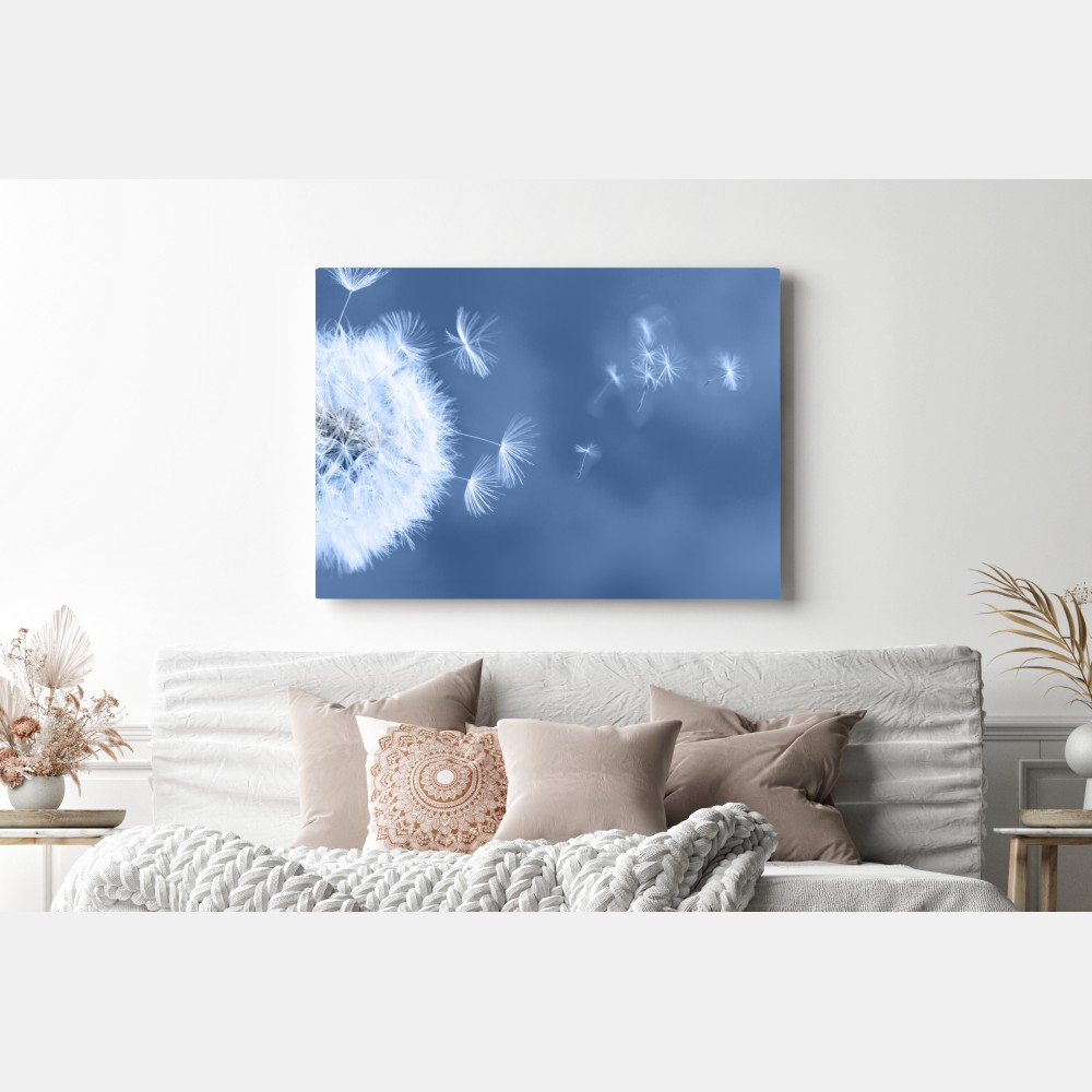 Obraz na płótnie delikatne nasiona dmuchawca w odcieniach niebieskiego – Wallissimo® Obraz na płótnie delikatne nasiona dmuchawca w odcieniach niebieskiego – Wallissimo®