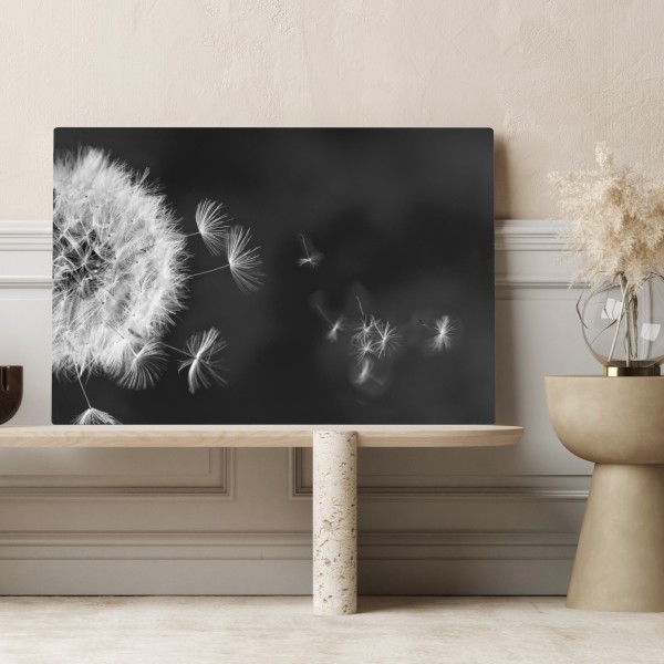 Obraz na płótnie unoszące się nasiona mniszka – Wallissimo® Obraz na płótnie unoszące się nasiona mniszka – Wallissimo®