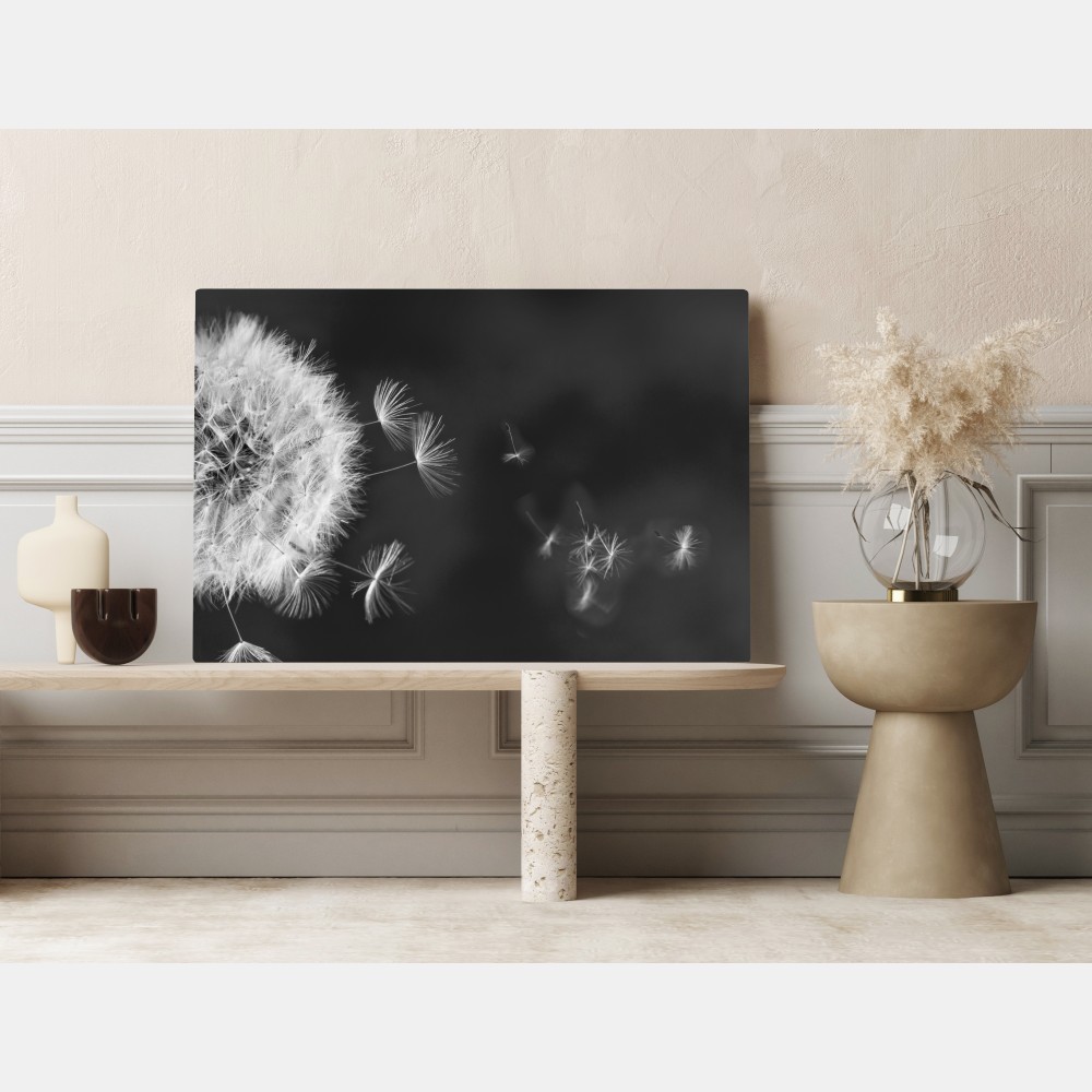 Obraz na płótnie unoszące się nasiona mniszka – Wallissimo® Obraz na płótnie unoszące się nasiona mniszka – Wallissimo®
