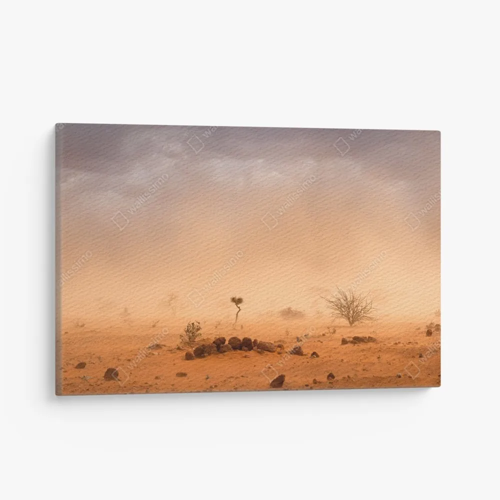 Obraz na płótnie burza piaskowa nad Dollo Ado, Etiopia – Wallissimo® Obraz na płótnie burza piaskowa nad Dollo Ado, Etiopia – Wallissimo®
