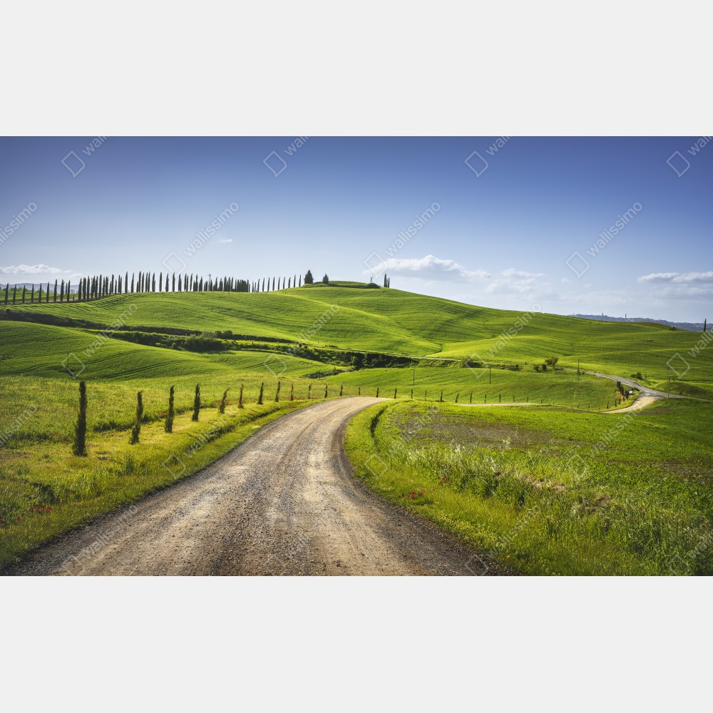 Obraz na płótnie wiejska droga w Toskanii przez zielone wzgórza – Wallissimo® Obraz na płótnie wiejska droga w Toskanii przez zielone wzgórza – Wallissimo®