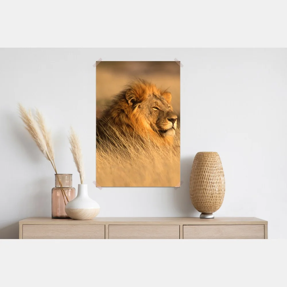 Plakat majestatyczny lew w wysokiej trawie – Wallissimo® Plakat majestatyczny lew w wysokiej trawie – Wallissimo®
