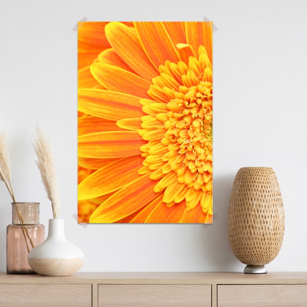 Plakat intensywna pomarańczowa gerbera z bliska – Wallissimo® Plakat intensywna pomarańczowa gerbera z bliska – Wallissimo®
