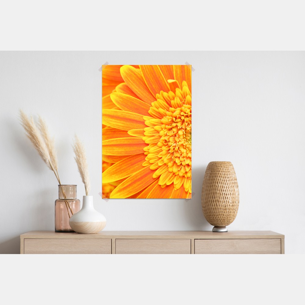 Plakat intensywna pomarańczowa gerbera z bliska – Wallissimo® Plakat intensywna pomarańczowa gerbera z bliska – Wallissimo®