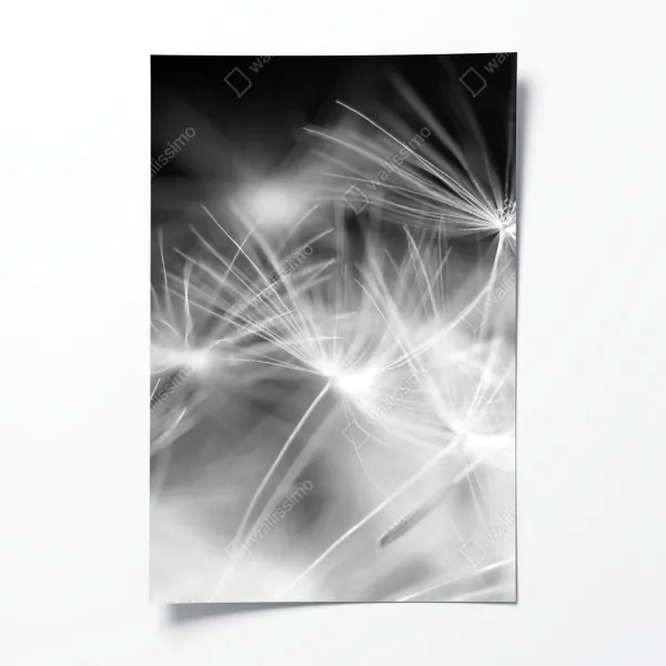 Plakat minimalistyczna kompozycja makaronu i pomidora – Wallissimo®