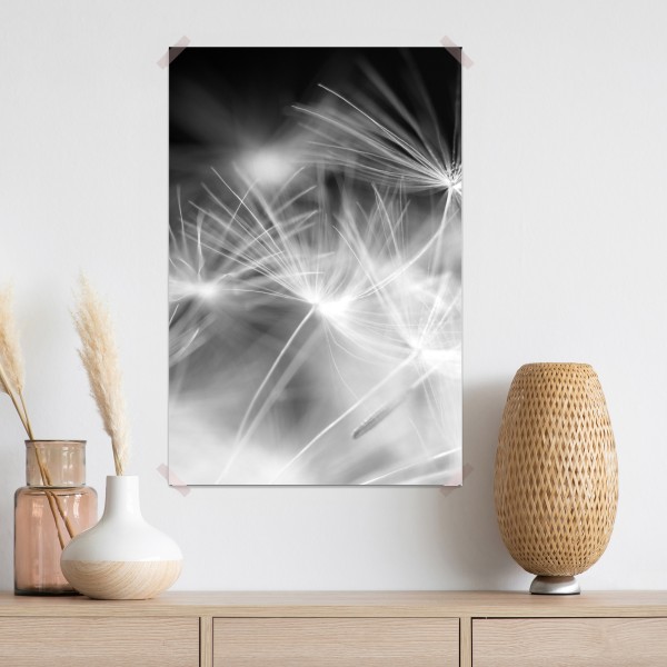 Plakat delikatne nasiona dmuchawca czarno-białe – Wallissimo® Plakat delikatne nasiona dmuchawca czarno-białe – Wallissimo®