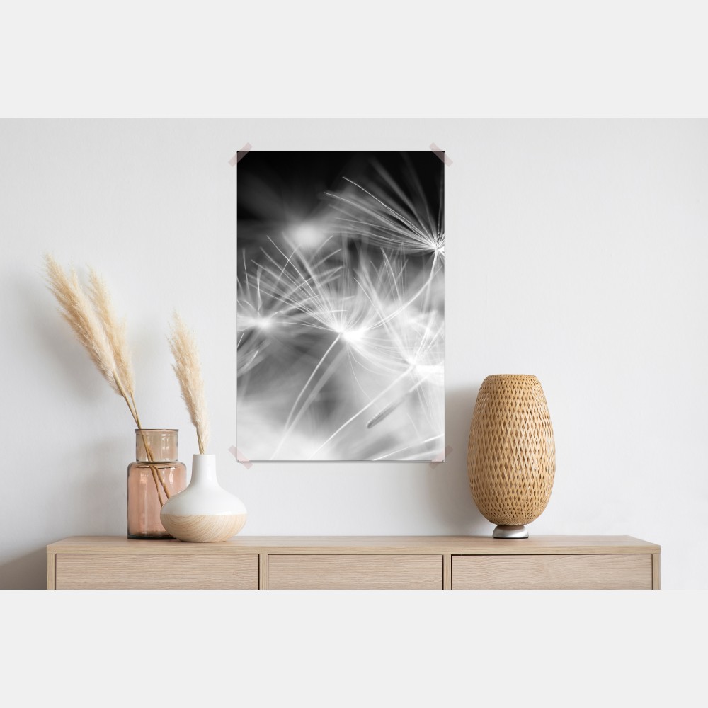 Plakat delikatne nasiona dmuchawca czarno-białe – Wallissimo® Plakat delikatne nasiona dmuchawca czarno-białe – Wallissimo®