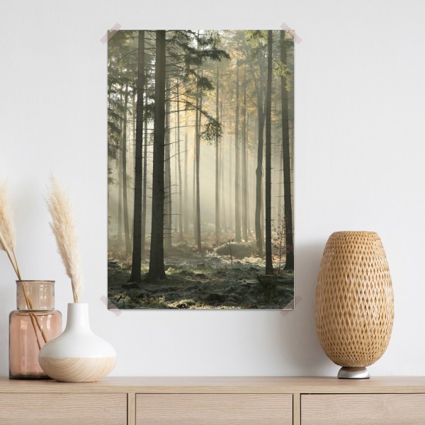 Plakat mglisty poranek w lesie z promieniami słońca – Wallissimo® Plakat mglisty poranek w lesie z promieniami słońca – Wallissimo®