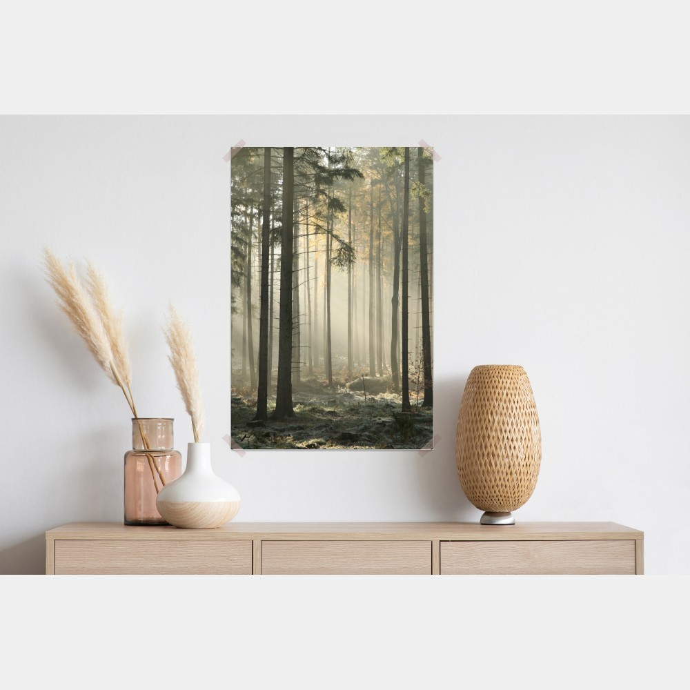 Plakat mglisty poranek w lesie z promieniami słońca – Wallissimo® Plakat mglisty poranek w lesie z promieniami słońca – Wallissimo®