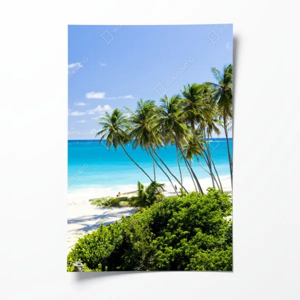 Plakat Bottom Bay plaża z palmami, Barbados