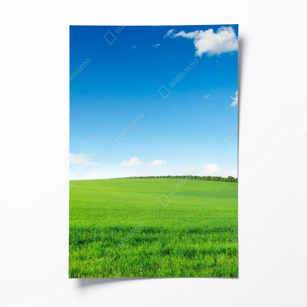 Plakat spokojna zielona łąka pod niebieskim niebem – Wallissimo® Plakat spokojna zielona łąka pod niebieskim niebem – Wallissimo®