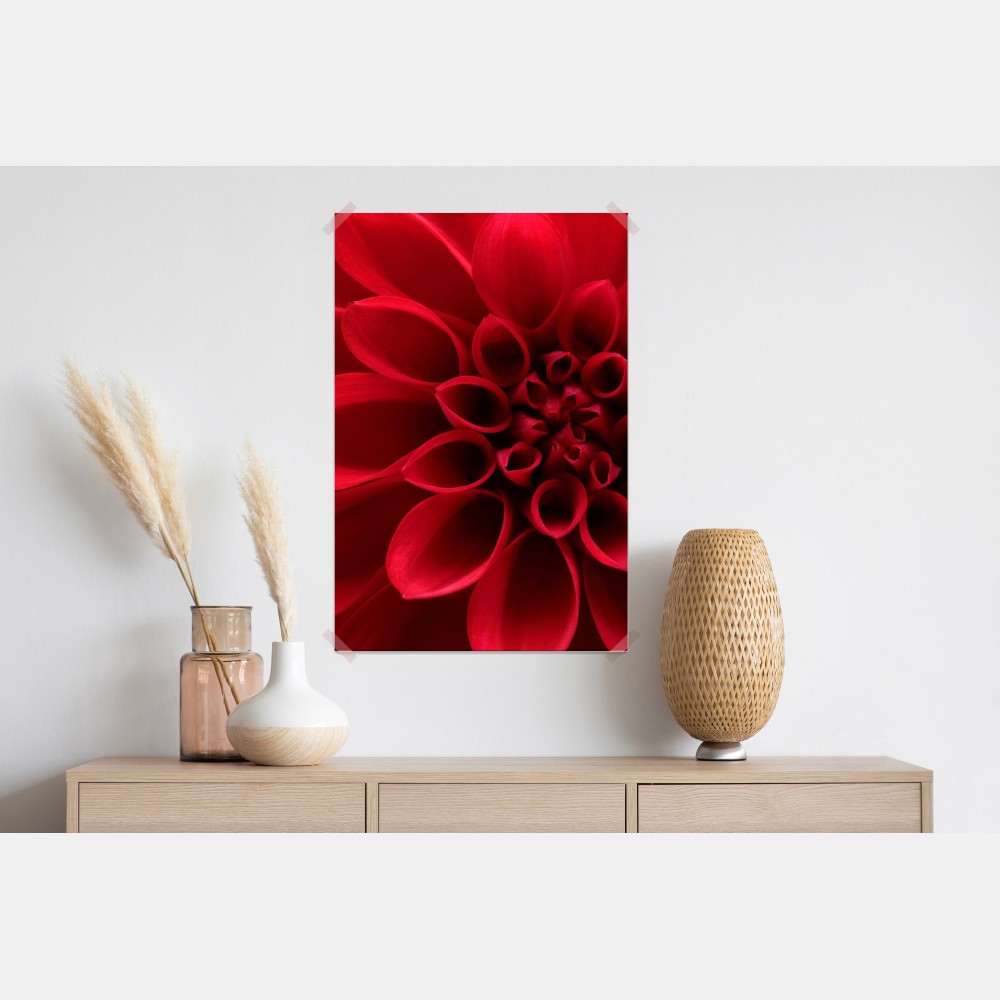 Plakat zbliżenie czerwonej dalii – Wallissimo® Plakat zbliżenie czerwonej dalii – Wallissimo®