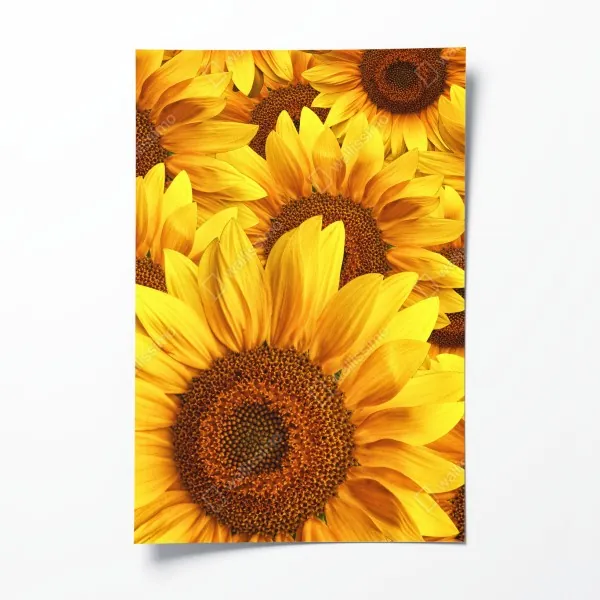 Plakat spokojna ścieżka w bambusowym lesie – Wallissimo®