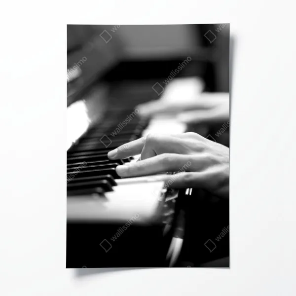 Plakat wzór z kaktusami i sukulentami – Wallissimo®