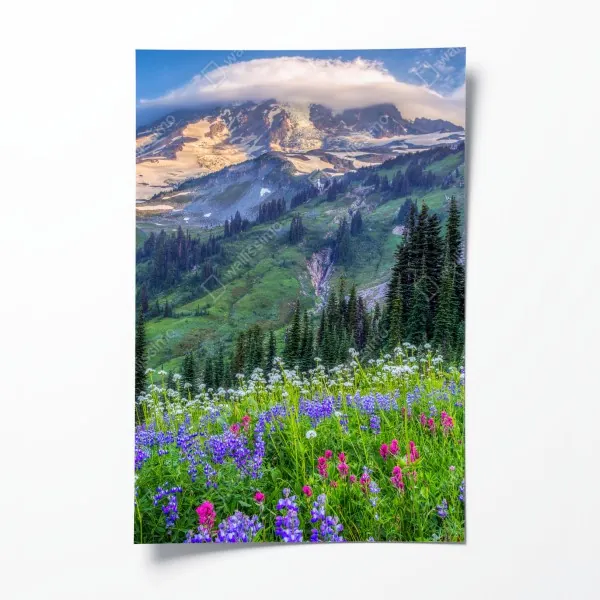 Plakat alpejska łąka pełna kwiatów u stóp ośnieżonych szczytów