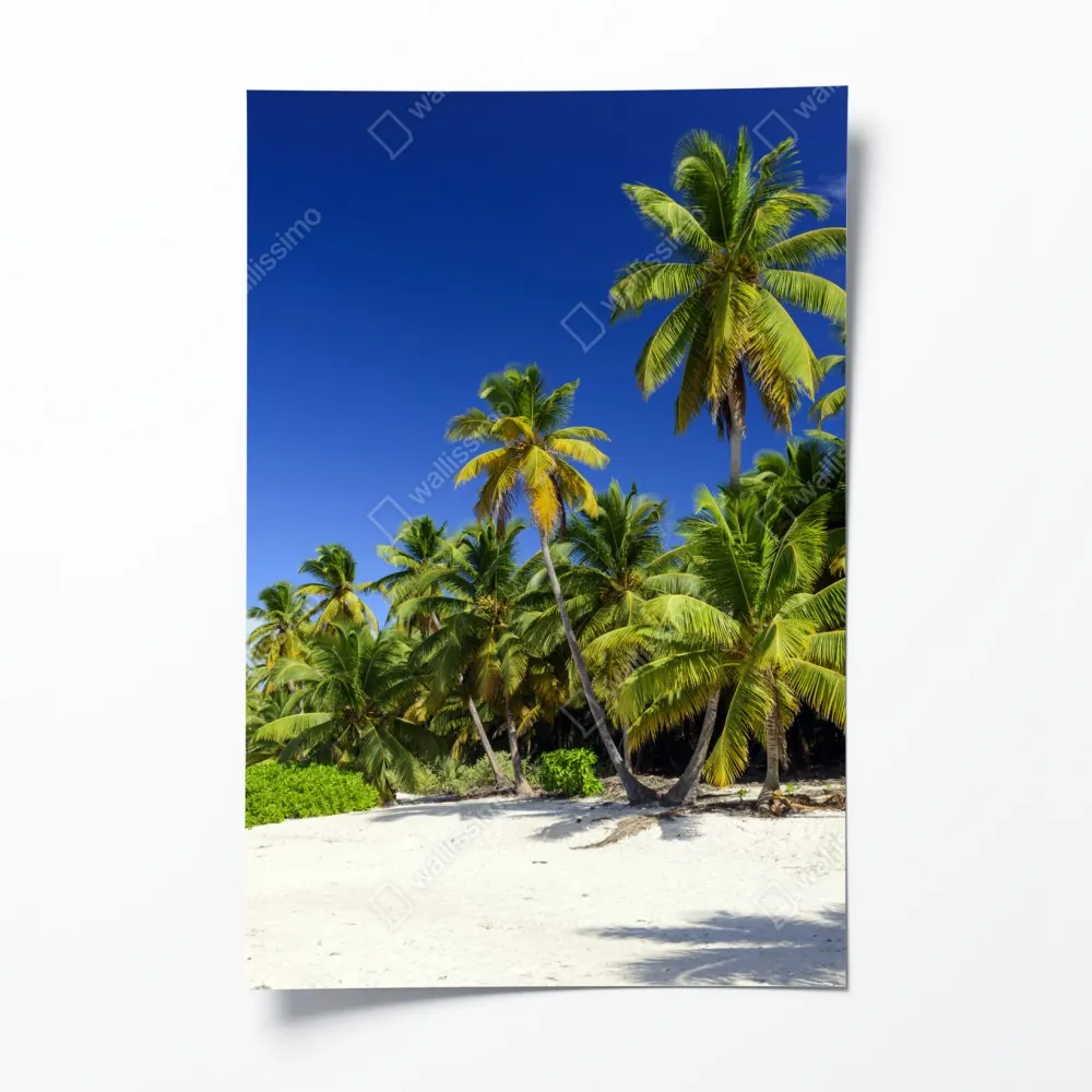 Plakat spokojna Punta Cana tropikalna plaża – Wallissimo® Plakat spokojna Punta Cana tropikalna plaża – Wallissimo®