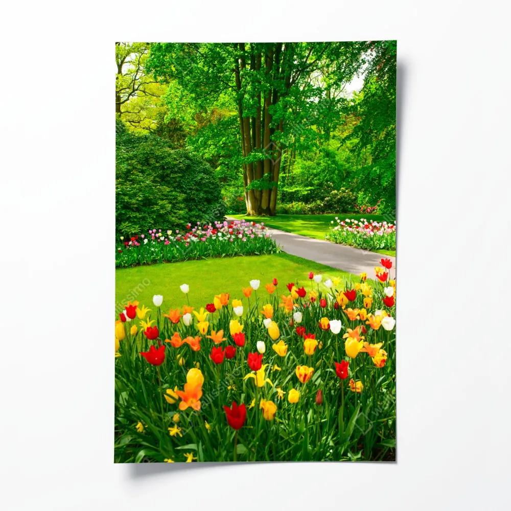 Plakat żywy ogród tulipanów w Keukenhof – Wallissimo® Plakat żywy ogród tulipanów w Keukenhof – Wallissimo®