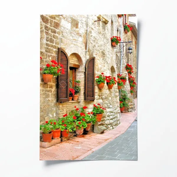 Plakat słoneczna kamienna uliczka z czerwonymi pelargoniami