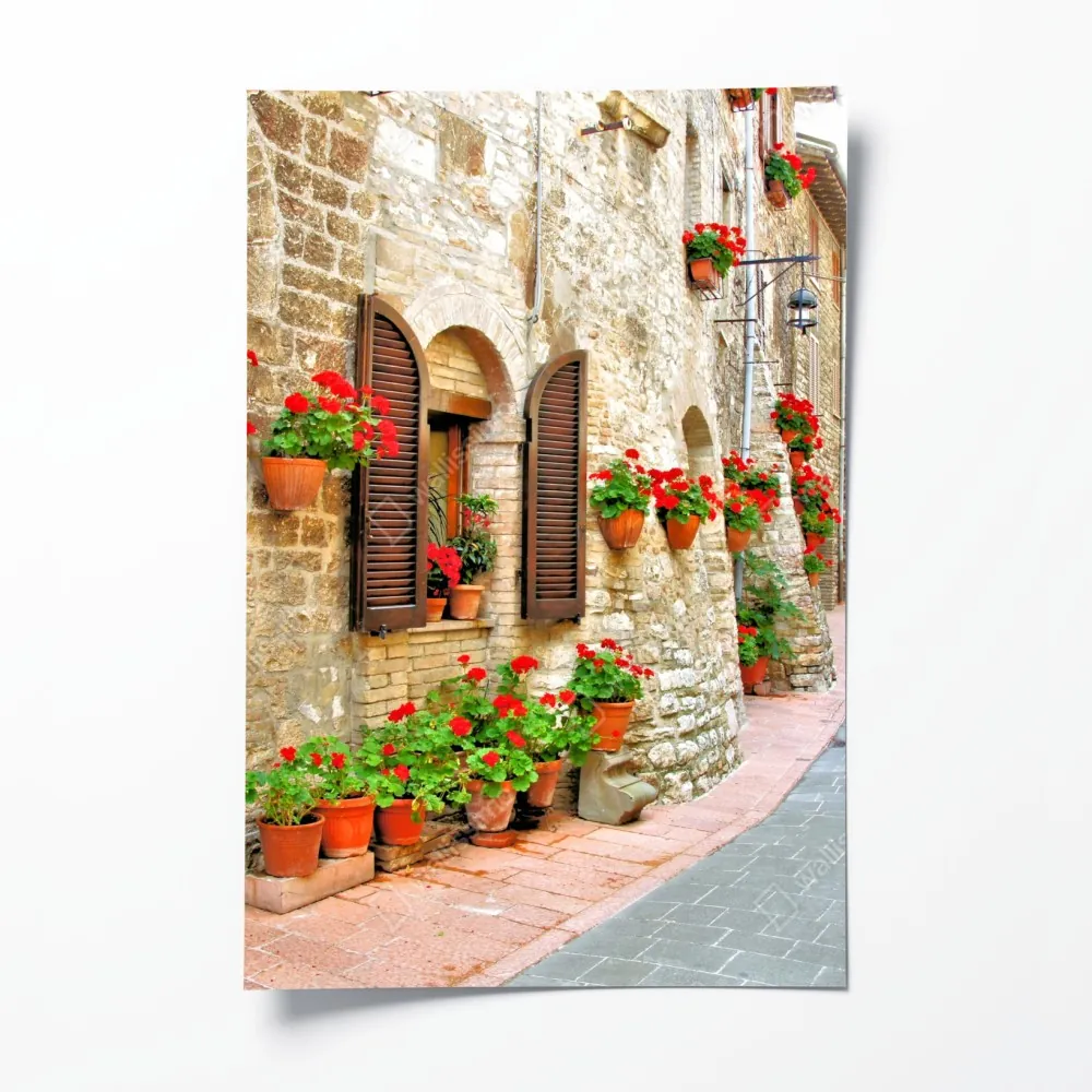 Plakat słoneczna kamienna uliczka z czerwonymi pelargoniami – Wallissimo® Plakat słoneczna kamienna uliczka z czerwonymi pelargoniami – Wallissimo®