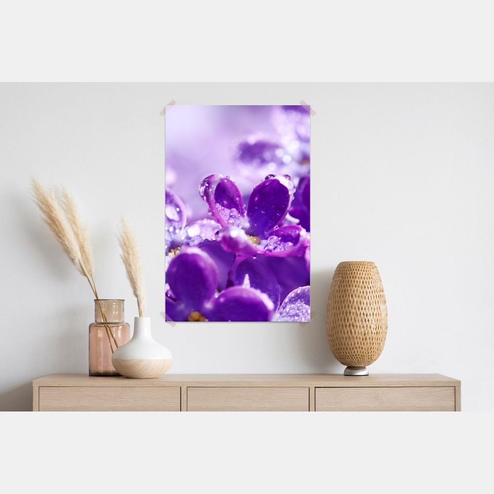 Plakat fioletowy bez z kroplami rosy – Wallissimo® Plakat fioletowy bez z kroplami rosy – Wallissimo®