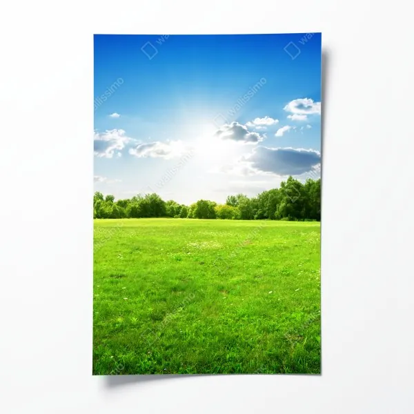 Plakat gęste zielone liście – Wallissimo®