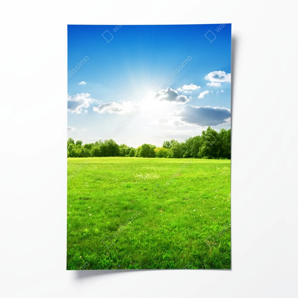 Plakat słoneczna zielona łąka – Wallissimo® Plakat słoneczna zielona łąka – Wallissimo®