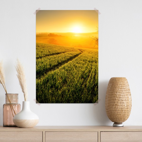 Plakat słoneczna łąka o świcie