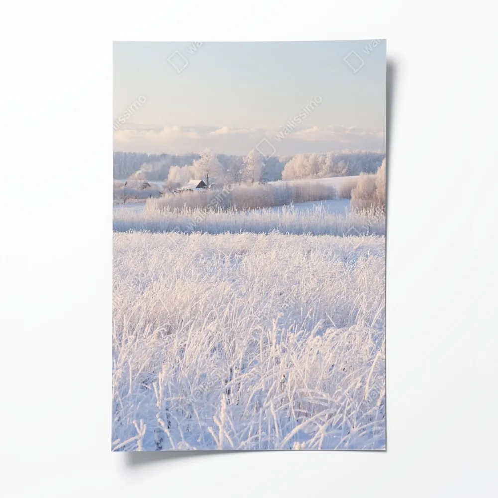 Plakat szronowa łąka o poranku – Wallissimo® Plakat szronowa łąka o poranku – Wallissimo®